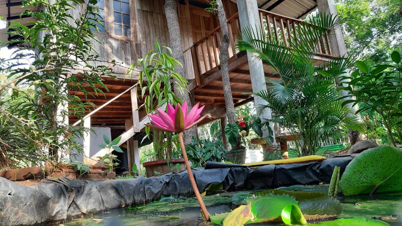 Ruk Sewana Villa Tree House Szigirija Kültér fotó