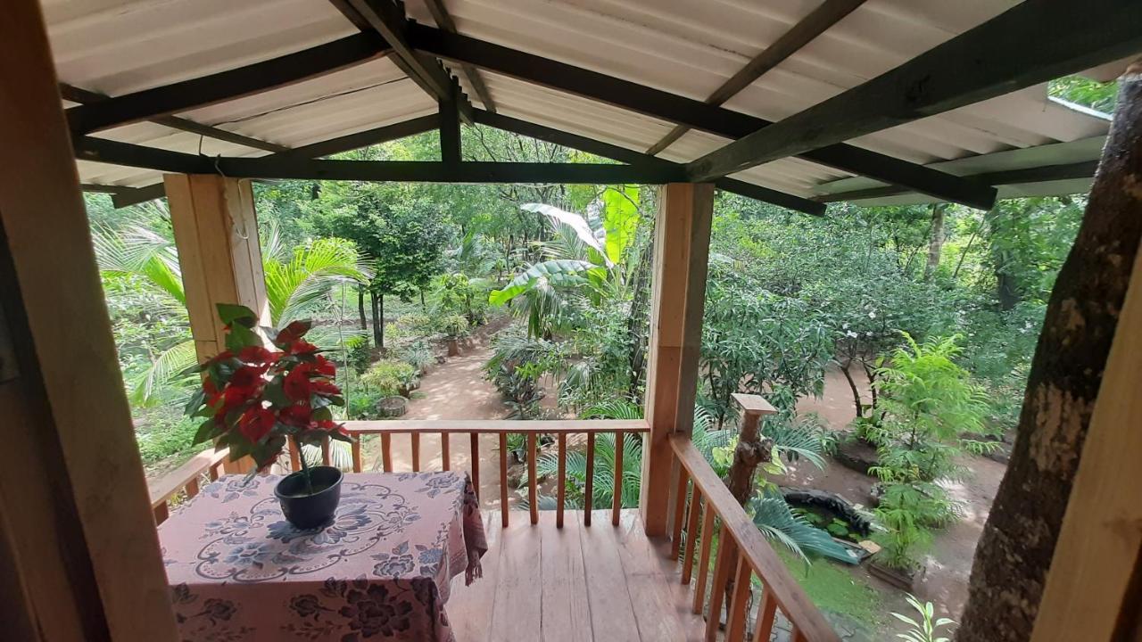 Ruk Sewana Villa Tree House Szigirija Kültér fotó