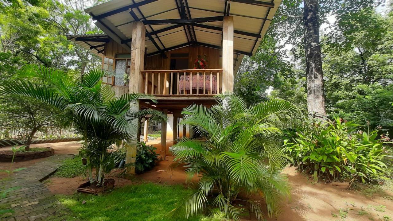 Ruk Sewana Villa Tree House Szigirija Kültér fotó